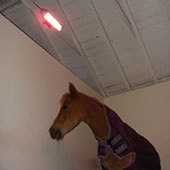 Equestrian Heating Solutions