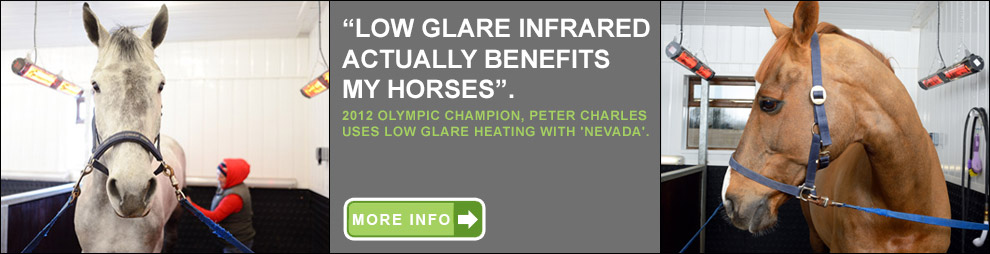 Promo - Horses