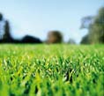 Electric Patio Heating - The Greener Alternative