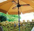 Outdoor Electric Heaters
