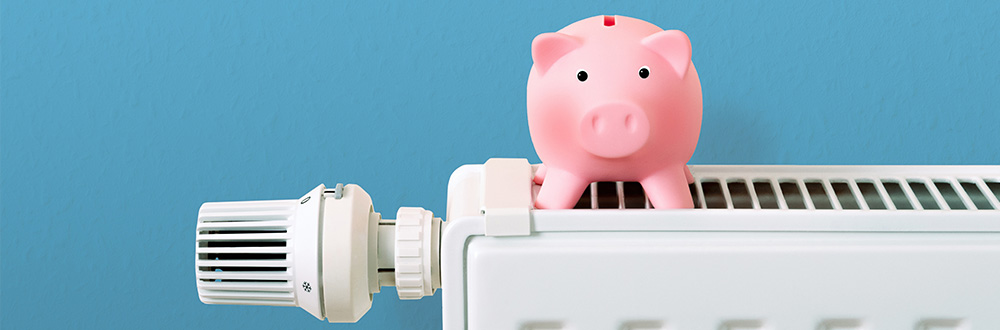 Home heating alternatives