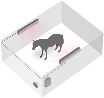 Peter Charles Stable Diagram