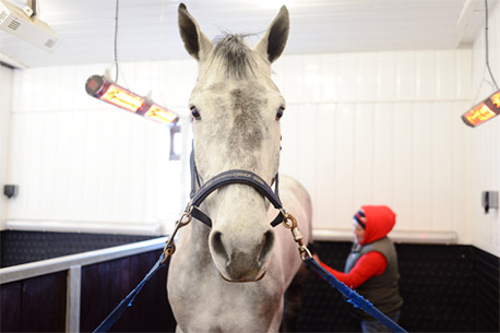 Peter Charles Stable Heating