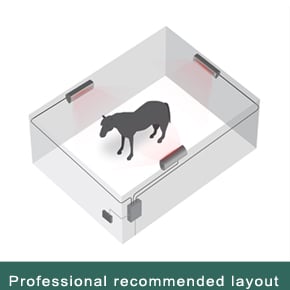 professional recommended layout for horse solarium