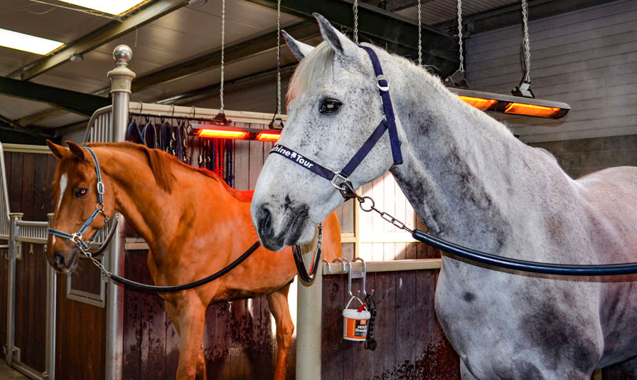 Shadow Equestrian Heaters at Heathcroft Farm